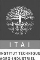 Logo ITAI